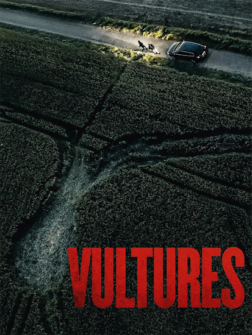 Vultures